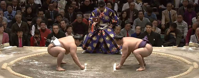 Сумо - Hatsu Basho 2017