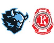 Динамо Минск – Витязь Подольск фото