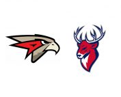 фото Авангард – Торпедо