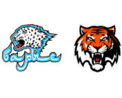 фото Барыс – Амур