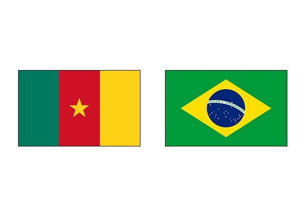 фото Камерун – Бразилия